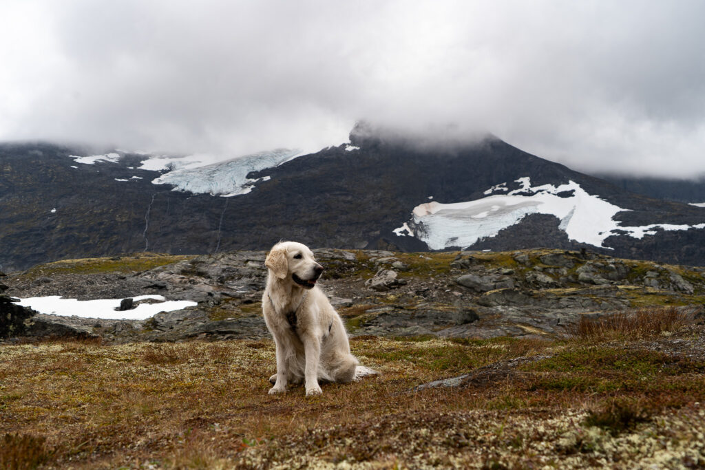 Sognefjellet
