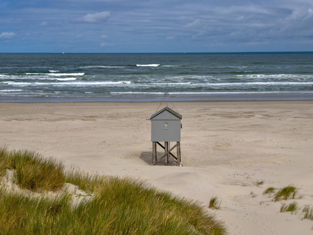 Op vakantie naar Terschelling met je hond