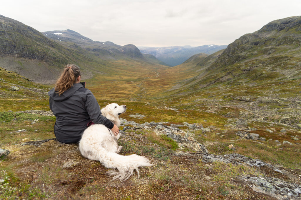 Bakkanosi hike met hond
