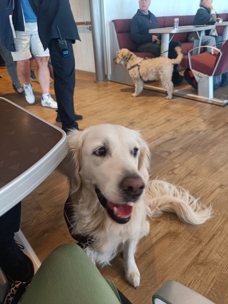 Fjordline hond aan boord