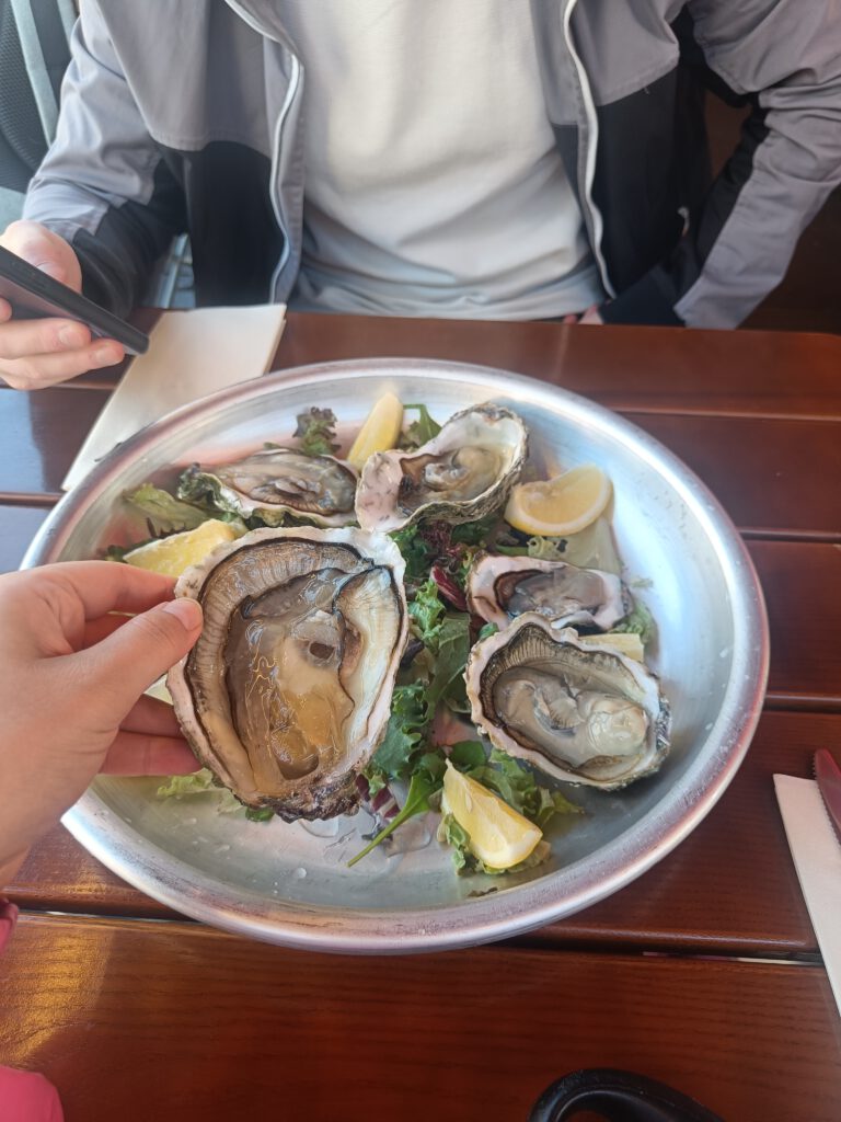 Norwegian giga oesters in Bergen
