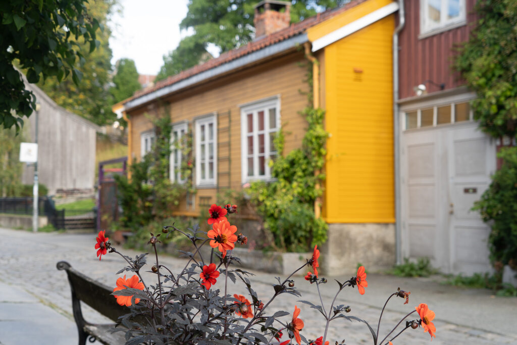 Trondheim Bakklandet