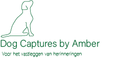 Hondenfotografie in Eindhoven en Veldhoven