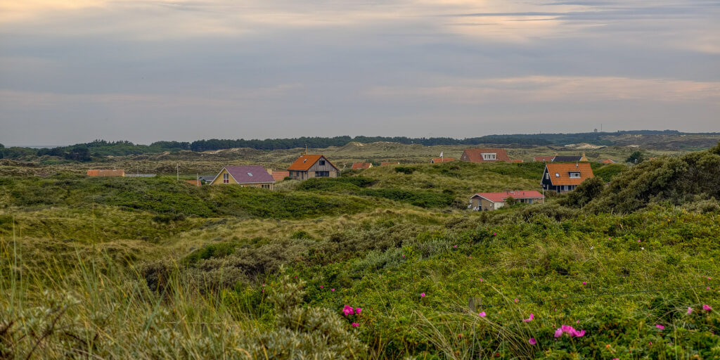 Hondvriendelijk Terschelling - op vakantie met je hond