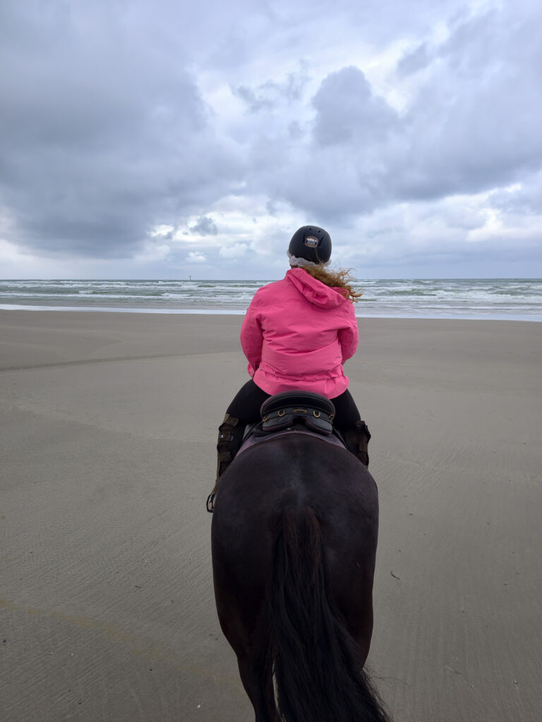 Paardrijrit Terschelling
