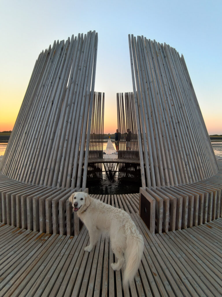 Uitzichtpunt Terschelling, op vakantie met je hond